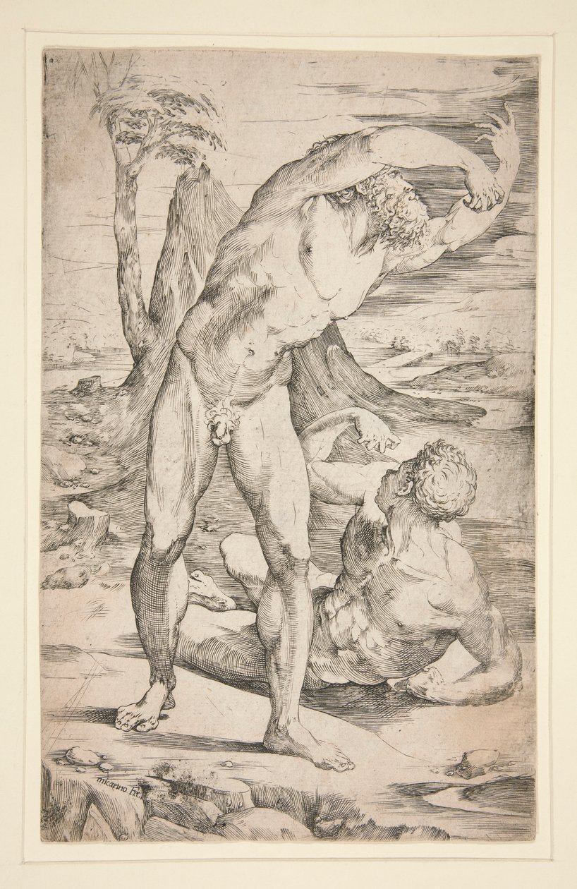 Zwei nackte Männer in einer Landschaft von Domenico Beccafumi
