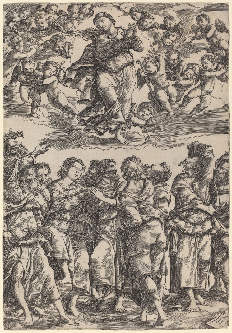 Mariä Himmelfahrt von Domenico Campagnola