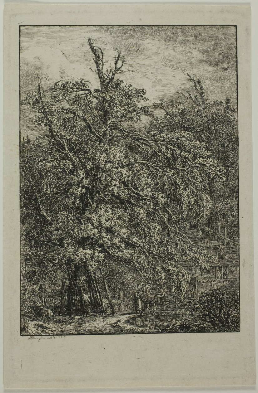 Großer Baum von Domenico Quaglio