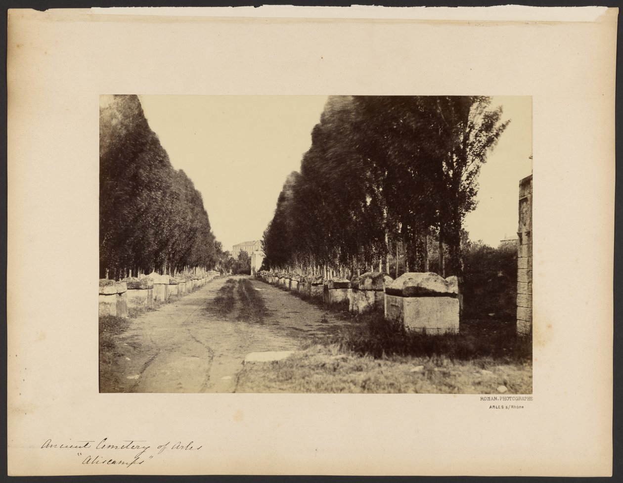 Alter Friedhof von Arles, "Alyscamps" von Dominique Roman