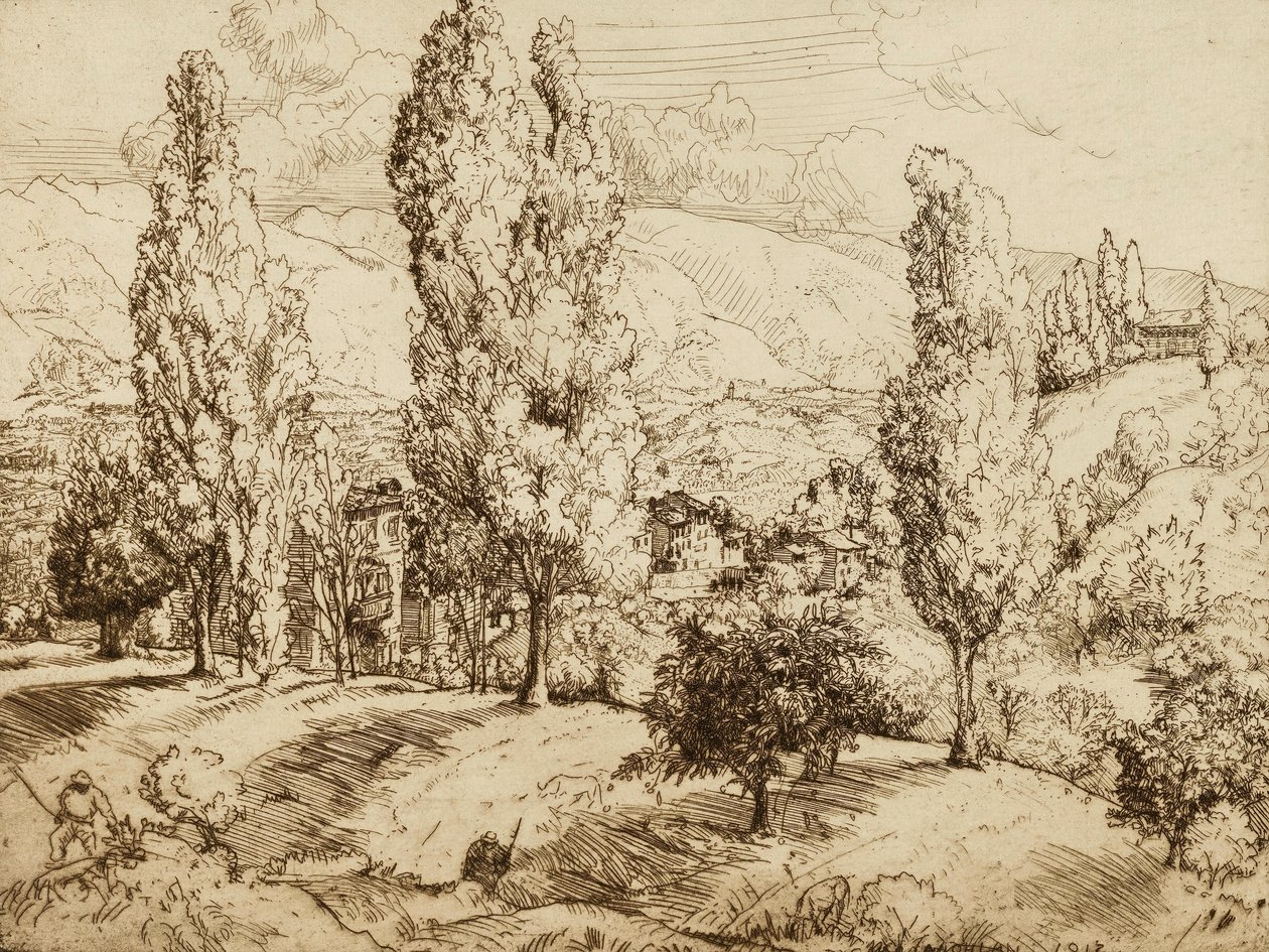 Felder von Asolo von Donald Shaw MacLaughlan