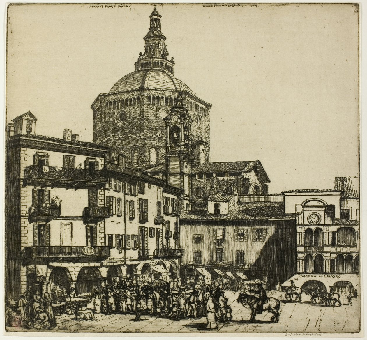 Pavia von Donald Shaw MacLaughlan