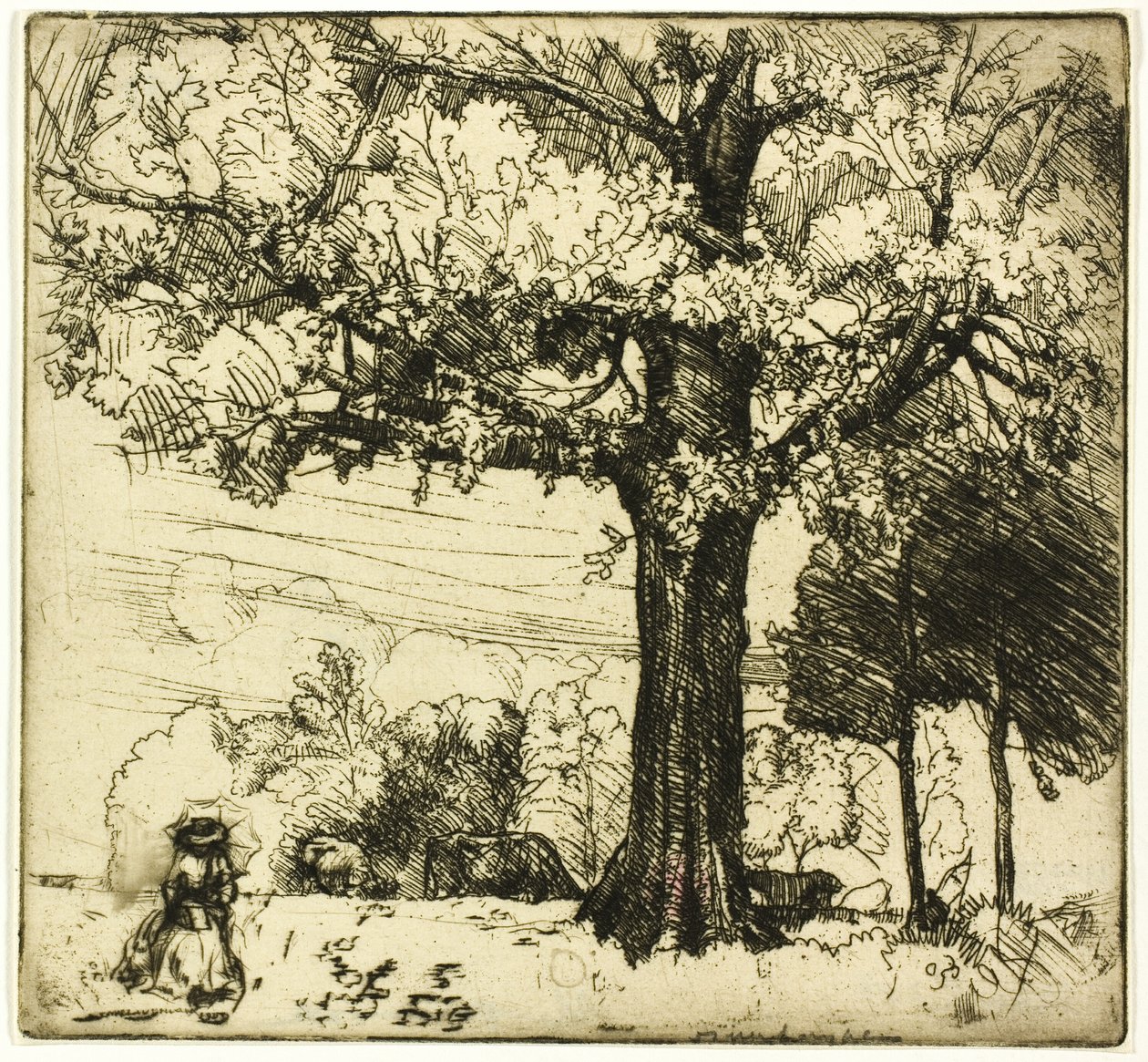 Die große Eiche von Donald Shaw MacLaughlan