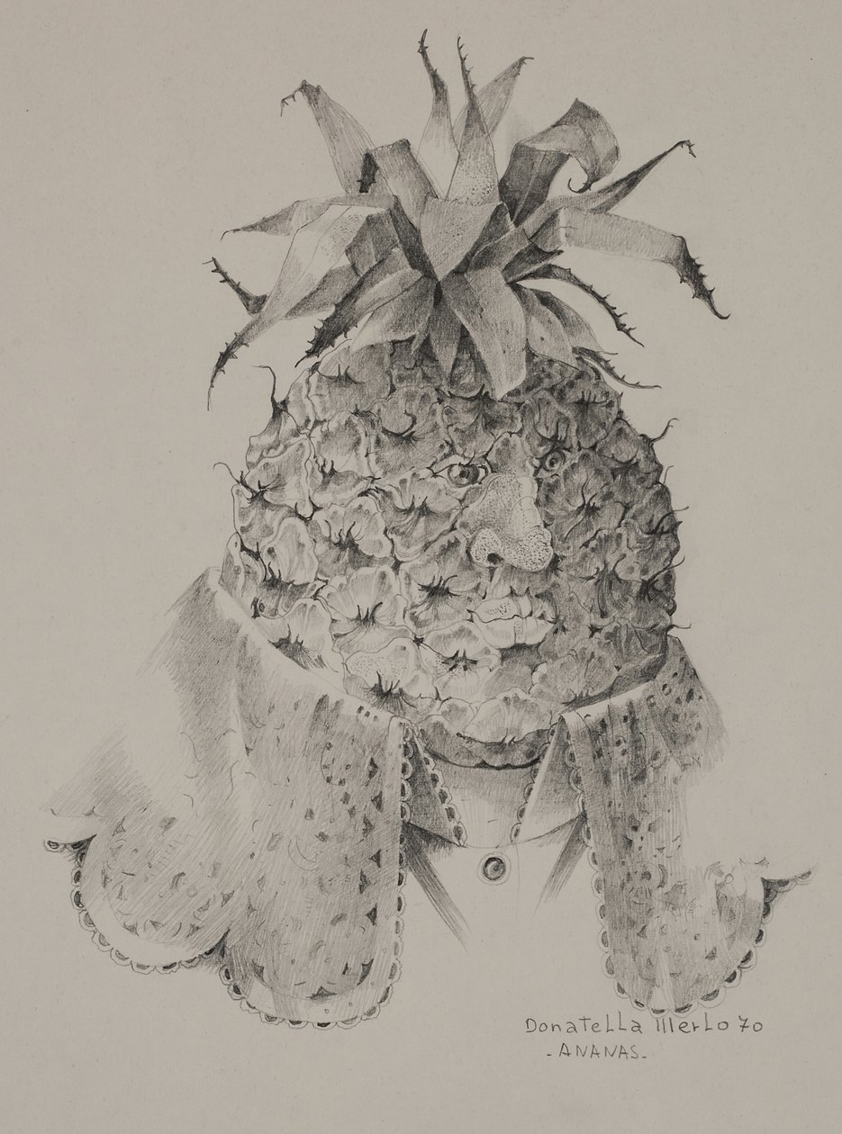 Ananas von Donatella Merlo