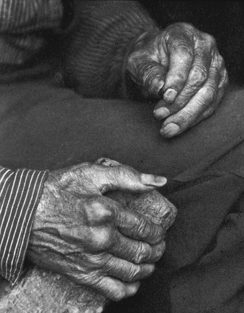 Die Hände eines Arbeiters, 1925 von Doris Ulmann