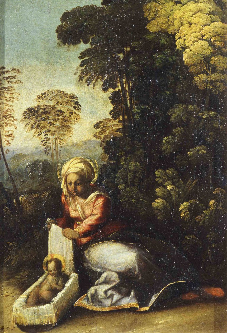 Madonna mit Kind La Zingarella, ca. 1513 von Dosso Dossi