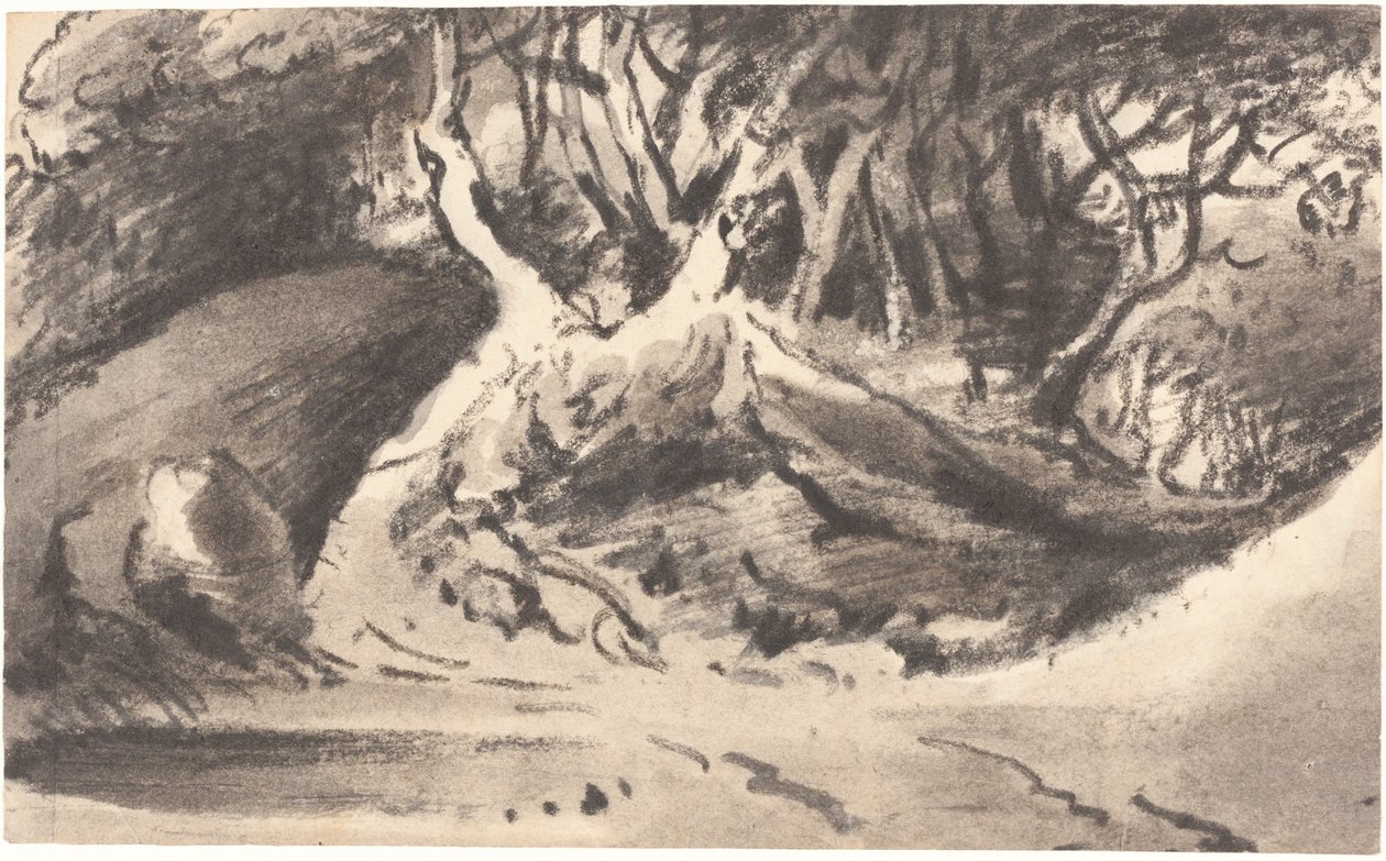 Waldlandschaft von Dr. Thomas Monro