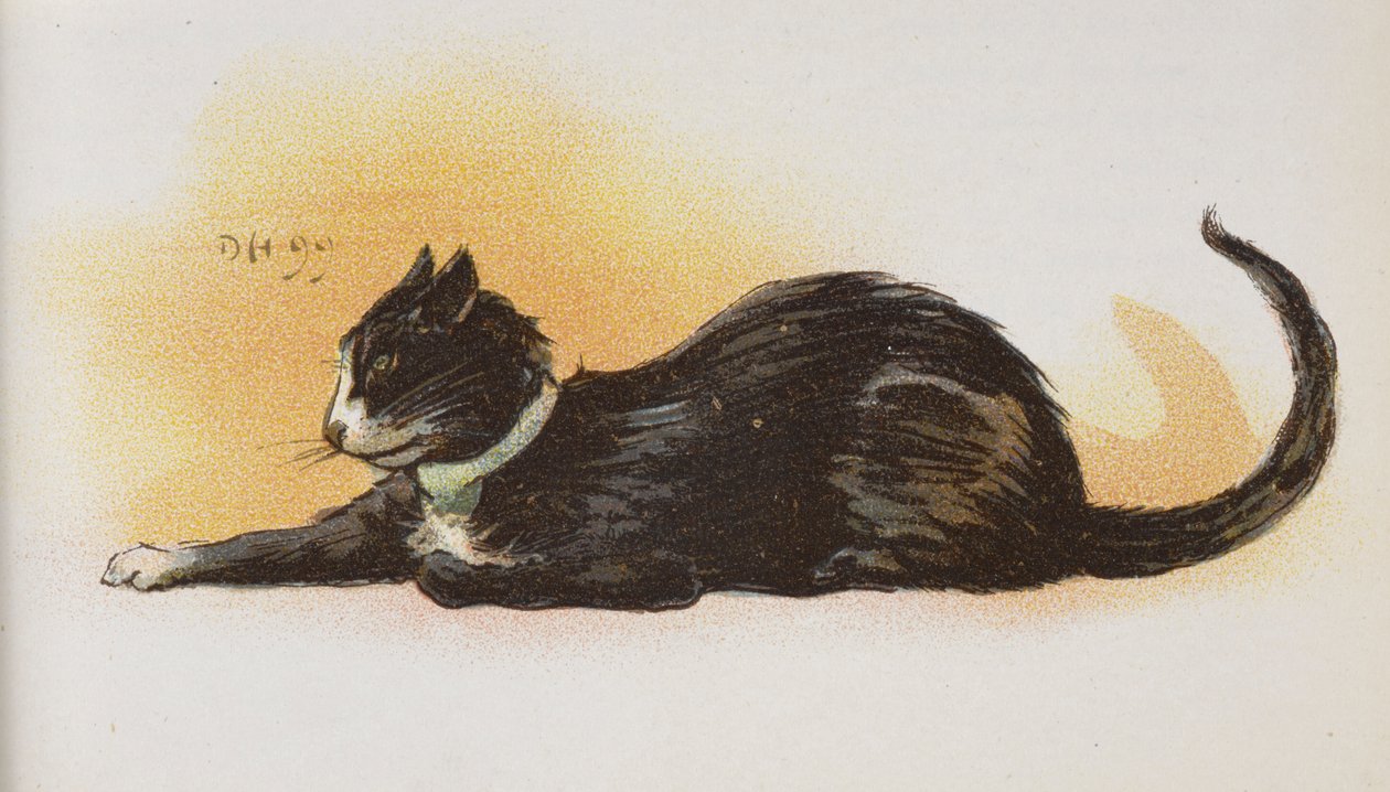 Eine Katze von Dudley Hardy