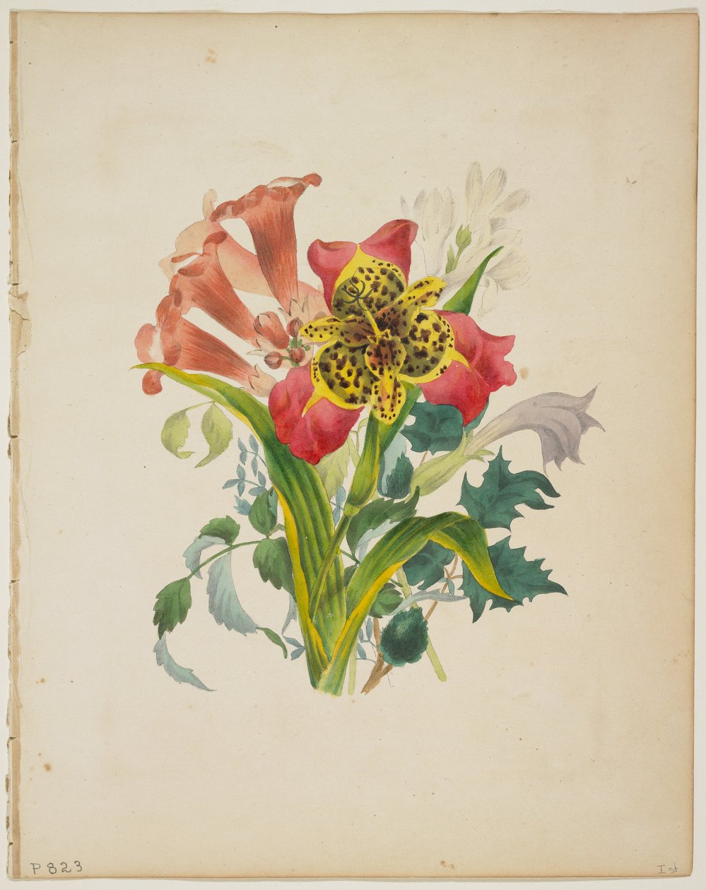 Blumenstrauß aus Trompetenblumen, aus Flora