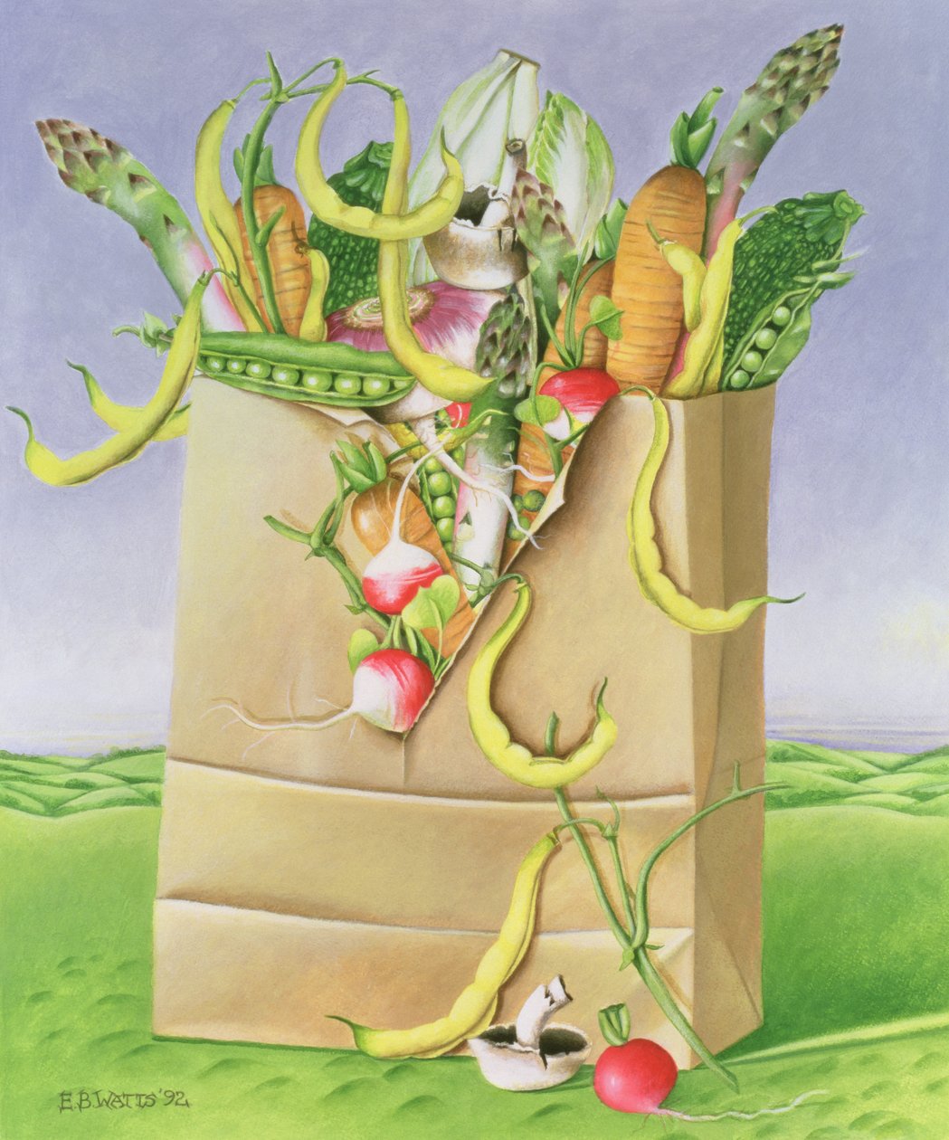 Papiertüte mit Gemüse, 1992 von E.B. Watts