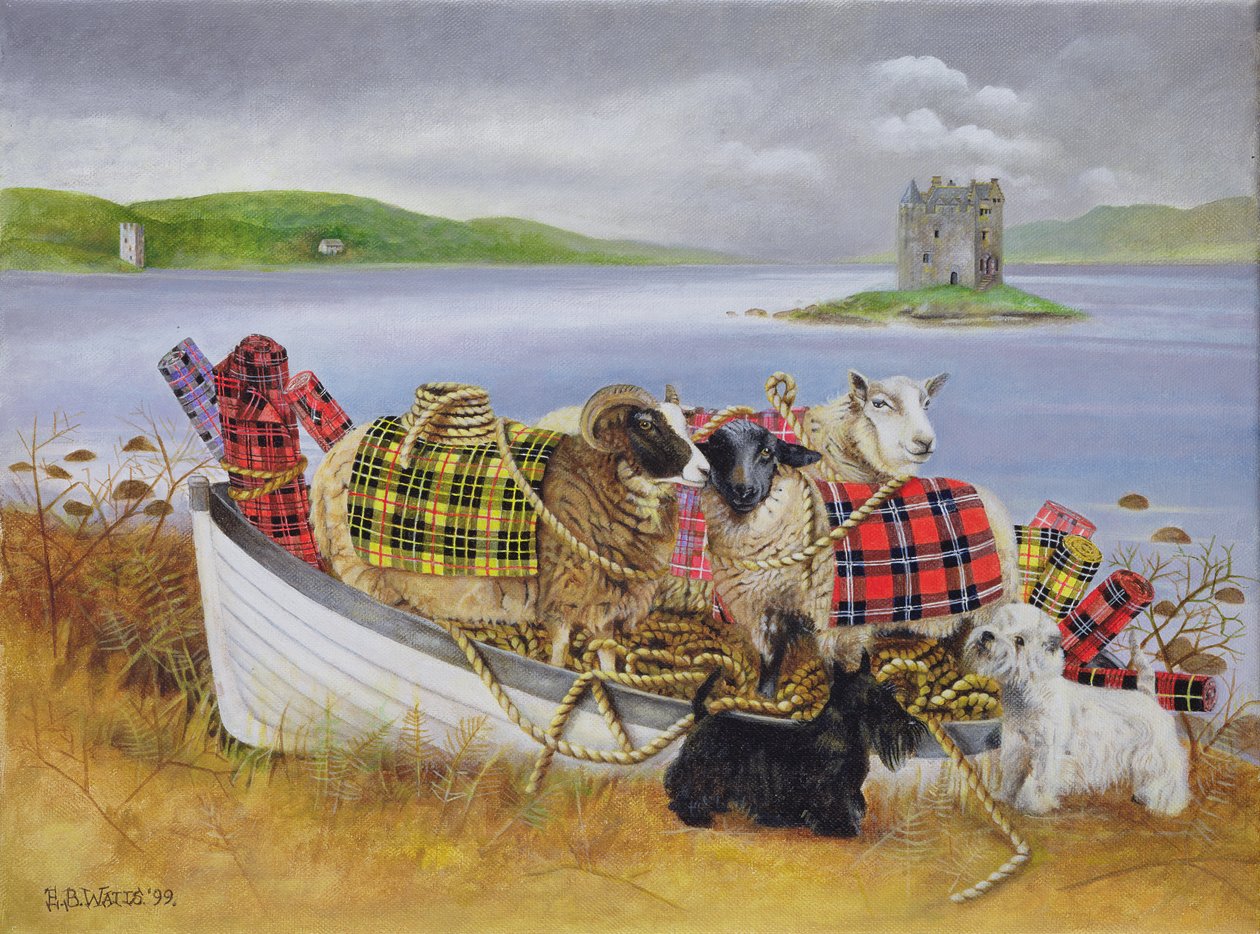 Schafe mit Tartan, 1999 von E.B. Watts