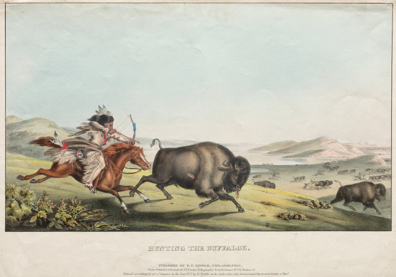 Büffeljagd, 1837 von E. C. Biddle