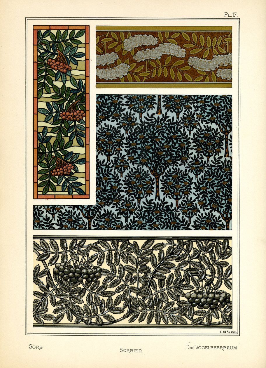 Die Mehlbeere von E. Hervegh