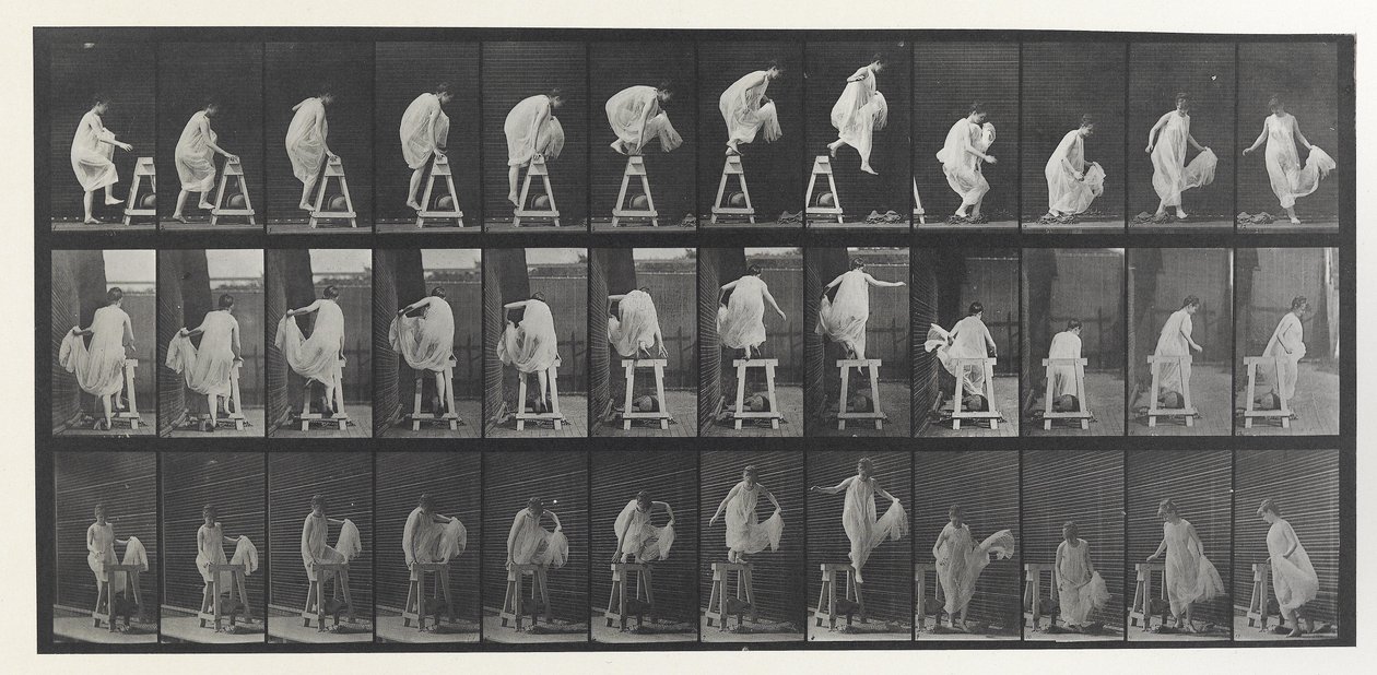 Animal Locomotion Platte von Eadweard Muybridge
