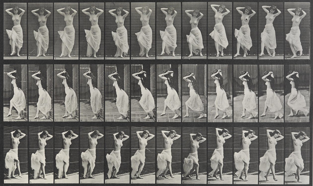 Animal Locomotion Platte 190 von Eadweard Muybridge