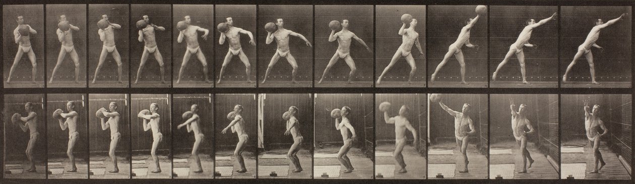 Tierlokomotion, Platte 319 von Eadweard Muybridge