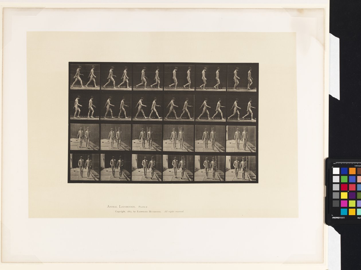 Tafel 12. Gehen von Eadweard Muybridge