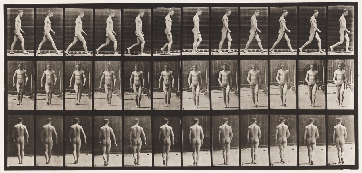 Tafel 1. Gehen von Eadweard Muybridge