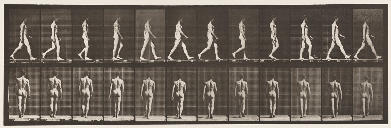 Gehen von Eadweard Muybridge