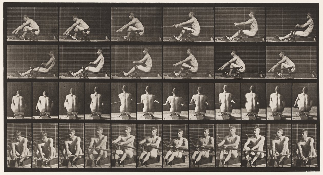 Tafel 327. Rudern von Eadweard Muybridge