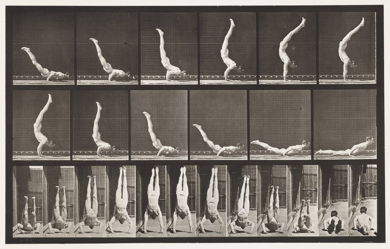 Tafel 372. Akrobat, horizontaler Druck nach oben von Eadweard Muybridge
