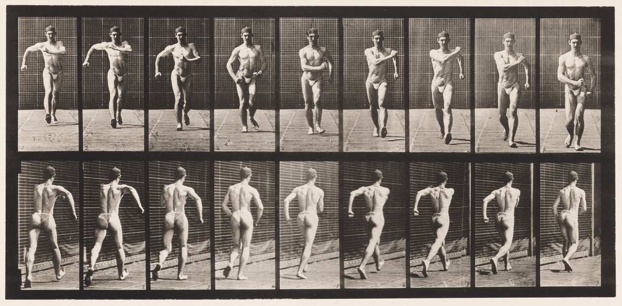 Gehen von Eadweard Muybridge