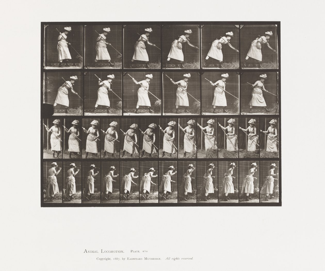 Tafel 456. Heu rechen, 1885 von Eadweard Muybridge