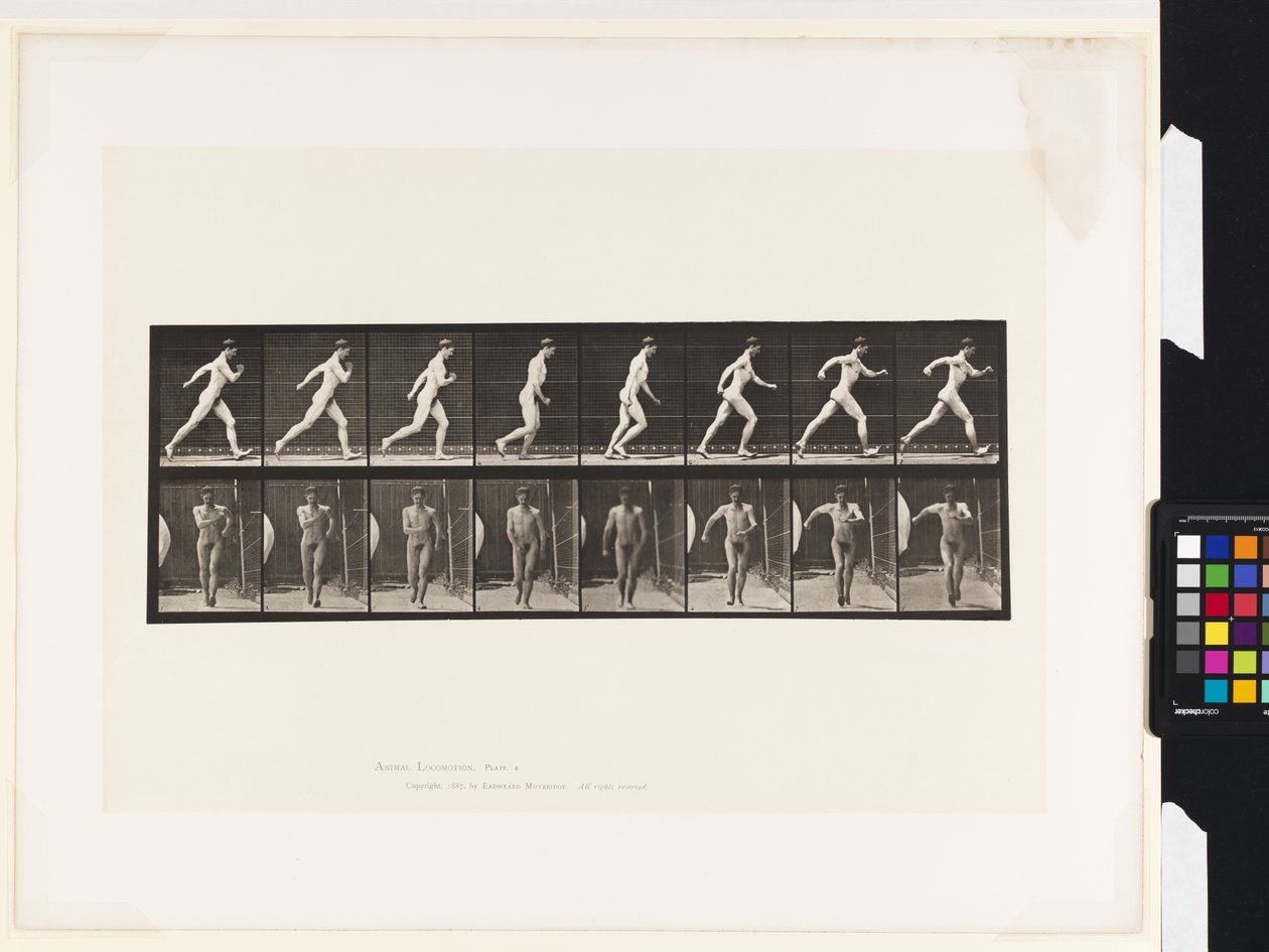 Tafel 4. Gehen von Eadweard Muybridge