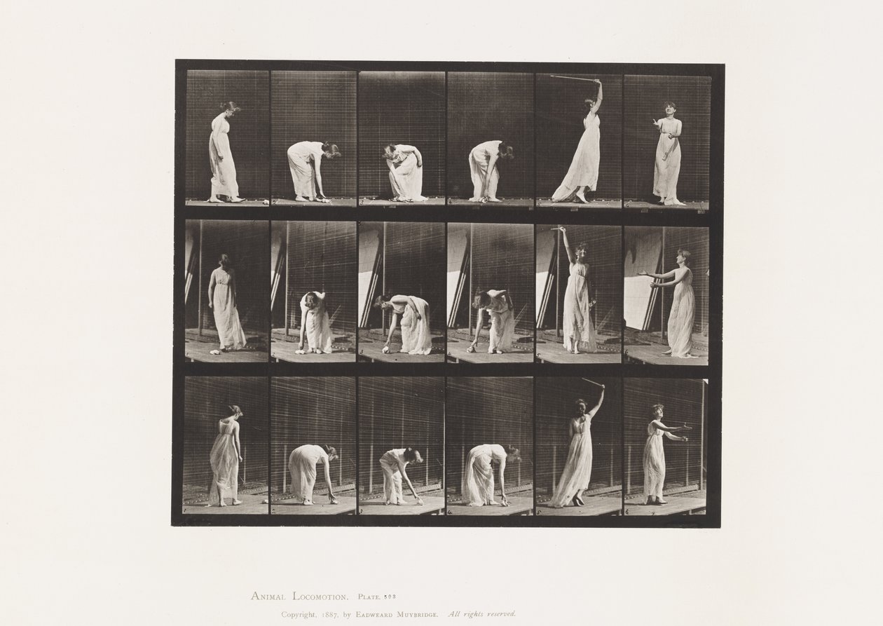 Tafel 503. Verschiedenes - Bücken, etc. von Eadweard Muybridge