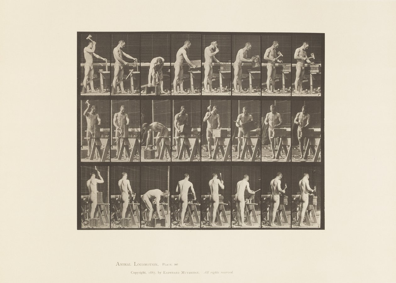 Tafel 507. Zimmermannsarbeit von Eadweard Muybridge
