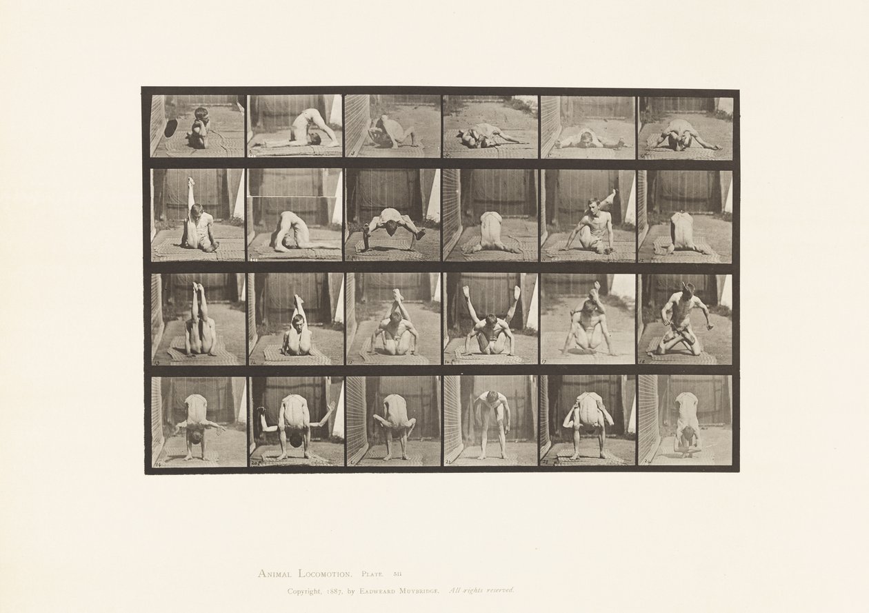 Tafel 511. Verrenkungen auf dem Boden von Eadweard Muybridge