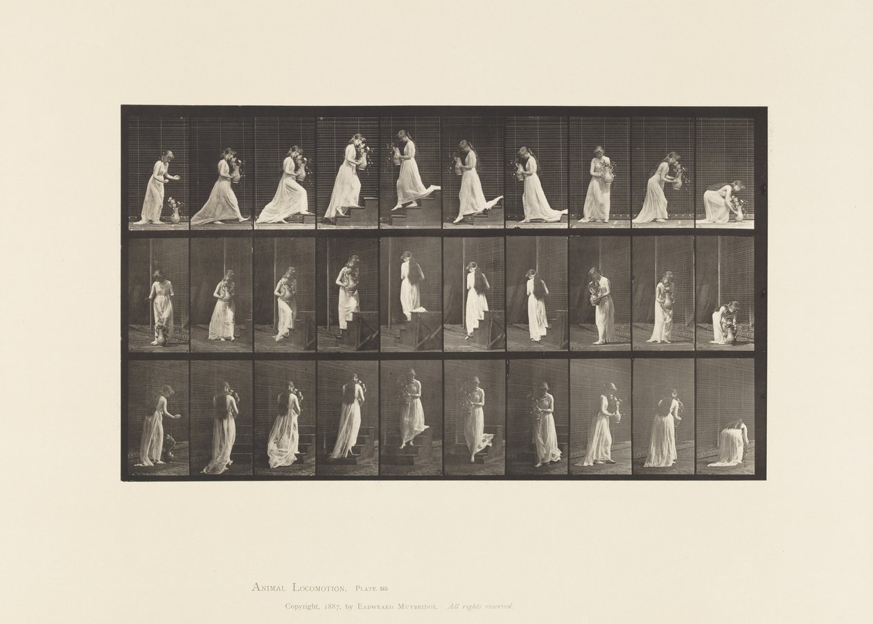 Treppen auf- und absteigen von Eadweard Muybridge