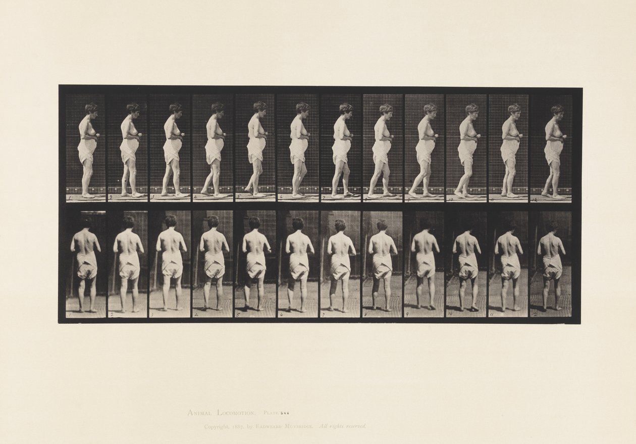 Tafel 542. Multiple Zerebrospinale Sklerose - Gehen von Eadweard Muybridge