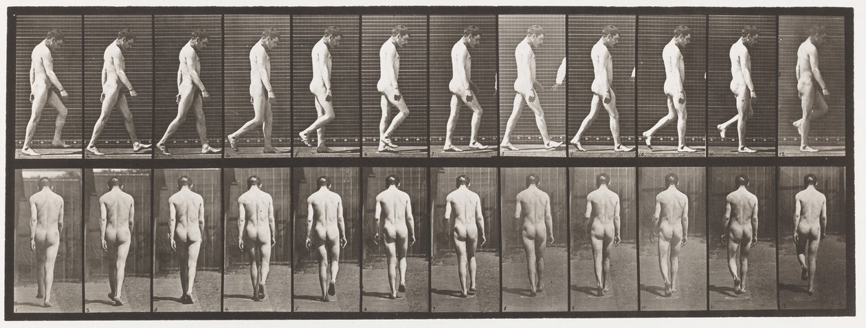 Epilepsie; Gehen von Eadweard Muybridge