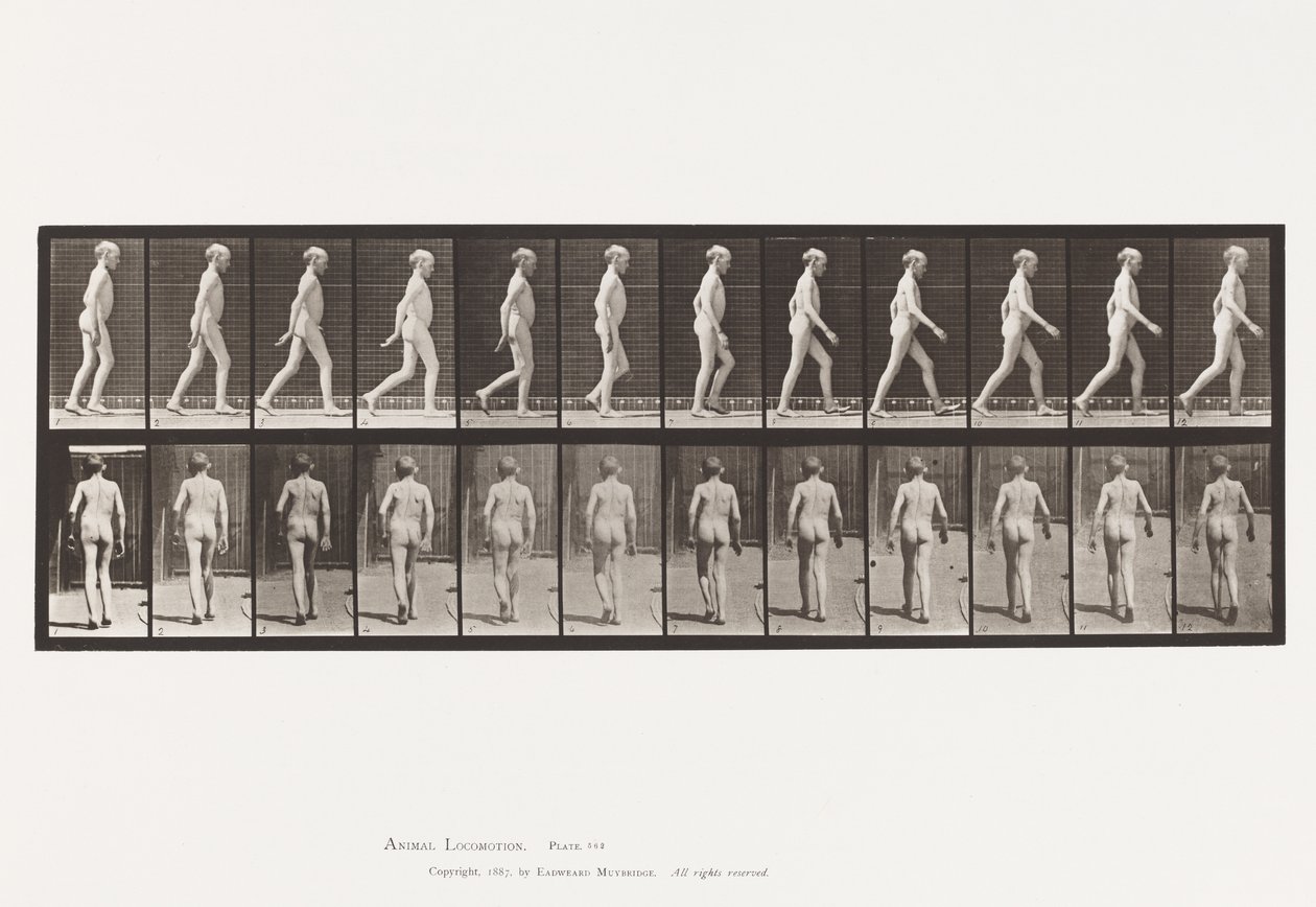 Platte 562. Seitliche Krümmung der Wirbelsäule; Gehen von Eadweard Muybridge