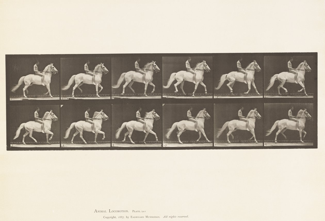 Tafel 590. Schlendern von Eadweard Muybridge