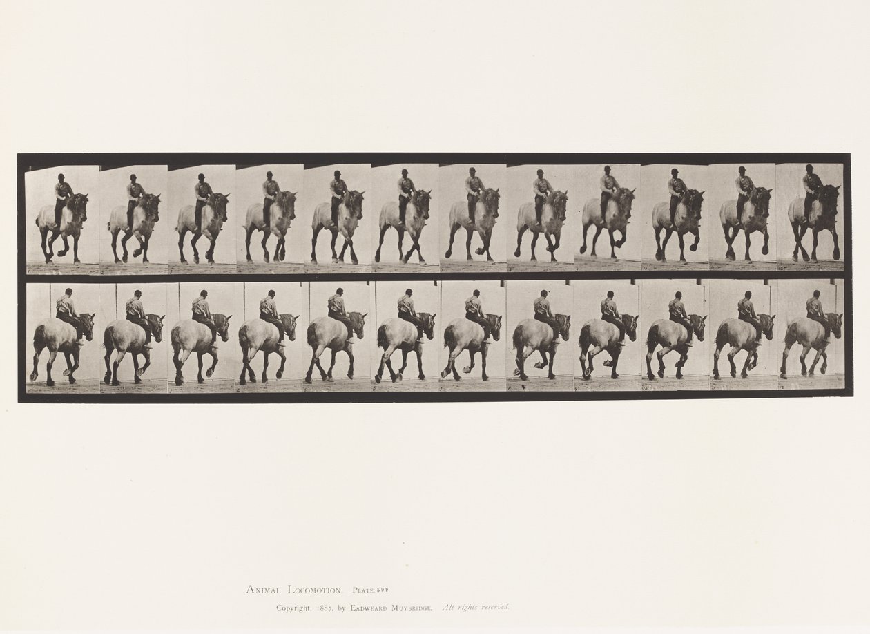 Tafel 599. Trabend; Ohne Sattel; Dunkelgrauer Dusel von Eadweard Muybridge