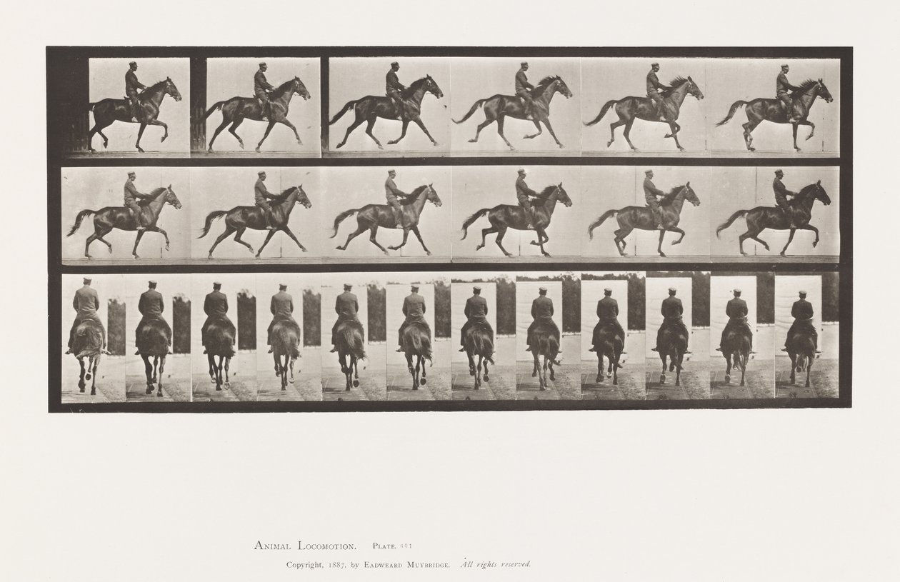 Tafel 601. Trabend; Sattel; Braune Stute Beauty von Eadweard Muybridge