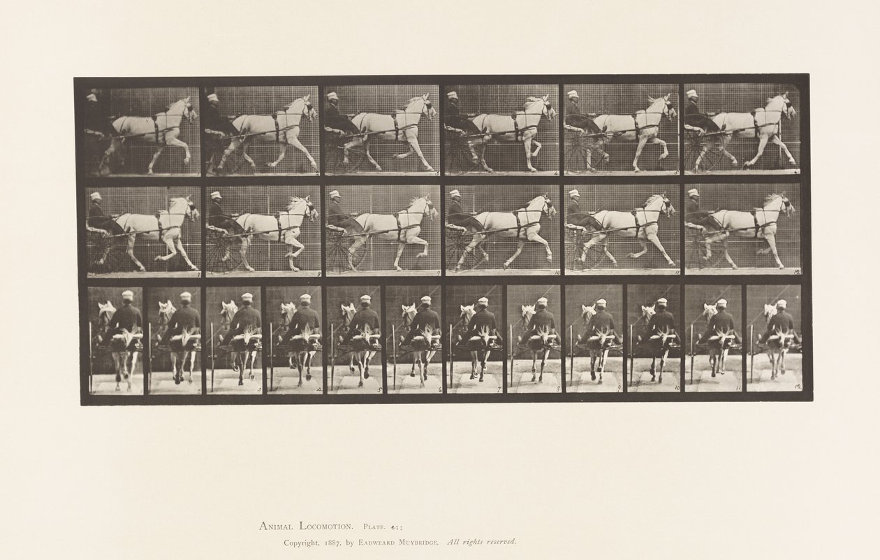 Tafel 611. Trabend; Sulky; Graue Stute Katydid von Eadweard Muybridge