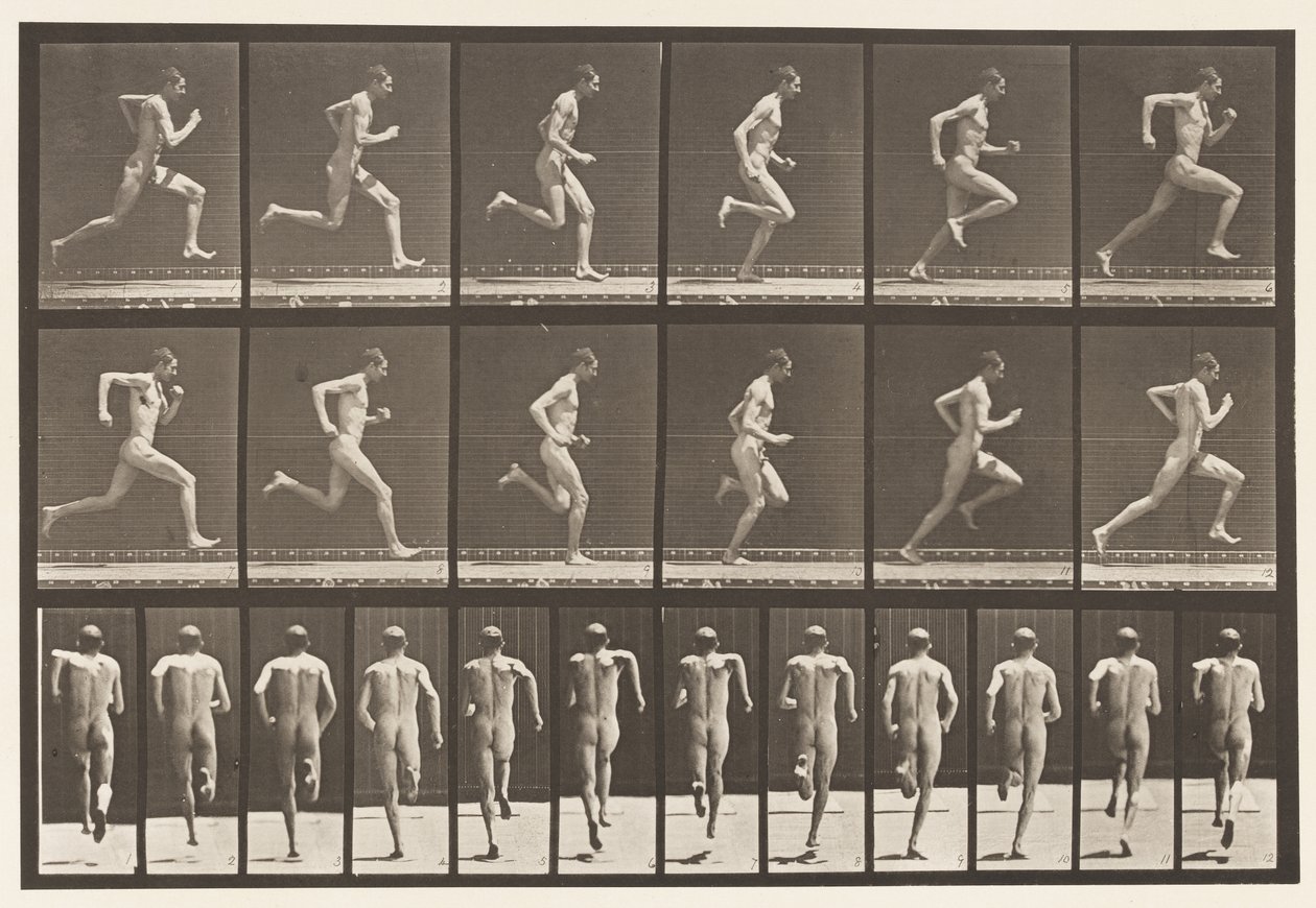 Tafel 62. Laufen mit voller Geschwindigkeit von Eadweard Muybridge