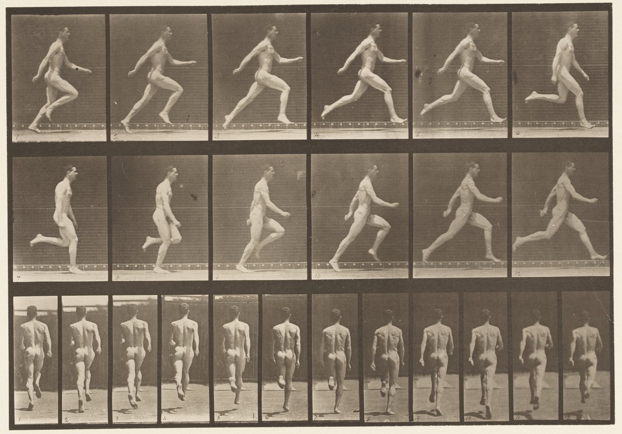 Tafel 64. Laufen in voller Geschwindigkeit von Eadweard Muybridge