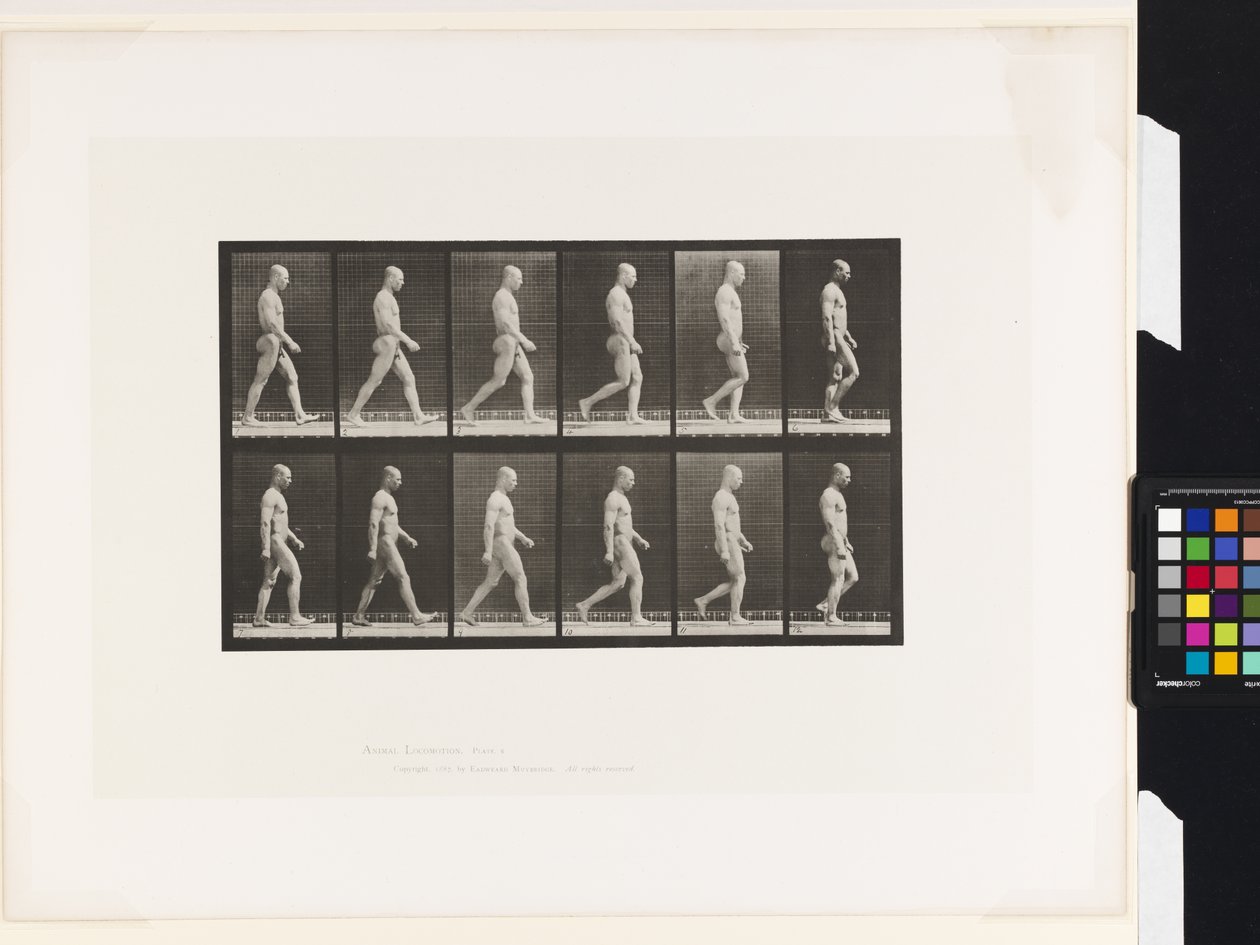 Tafel 6. Gehen von Eadweard Muybridge