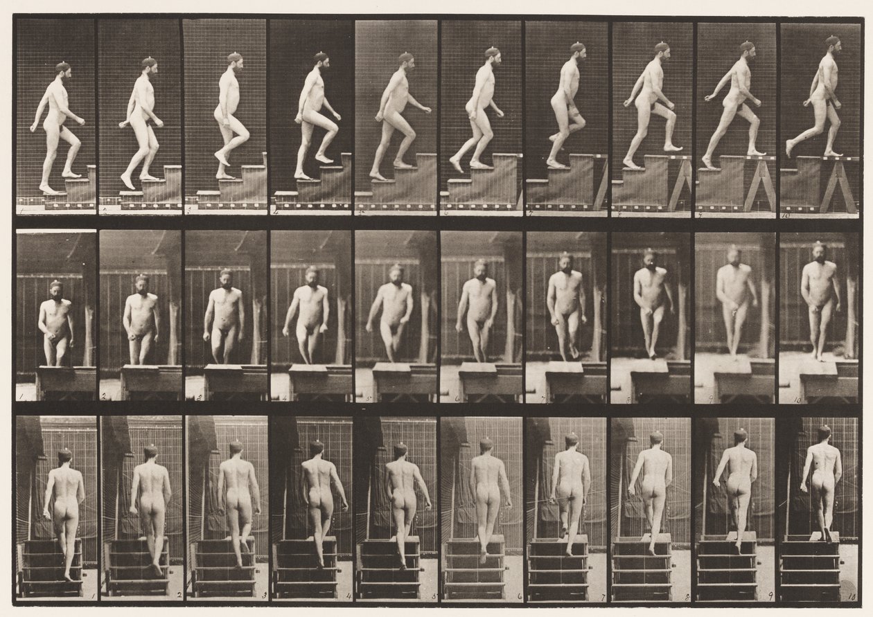 Tafel 90. Treppensteigen von Eadweard Muybridge