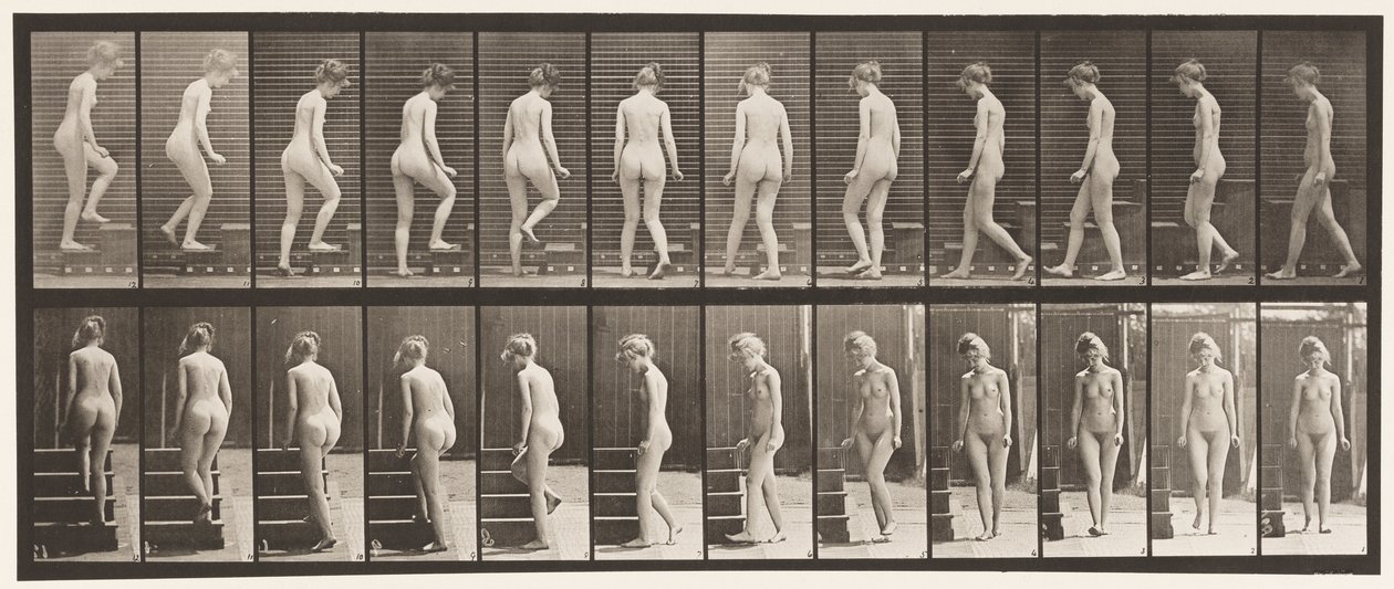 Tafel 98. Treppensteigen von Eadweard Muybridge