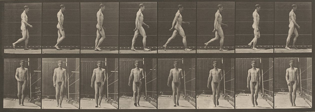 Tafel Nummer 5. Gehen, 1887 von Eadweard Muybridge