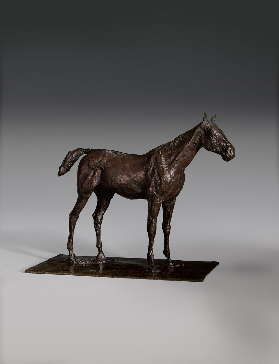 Stehendes Pferd von Edgar Degas