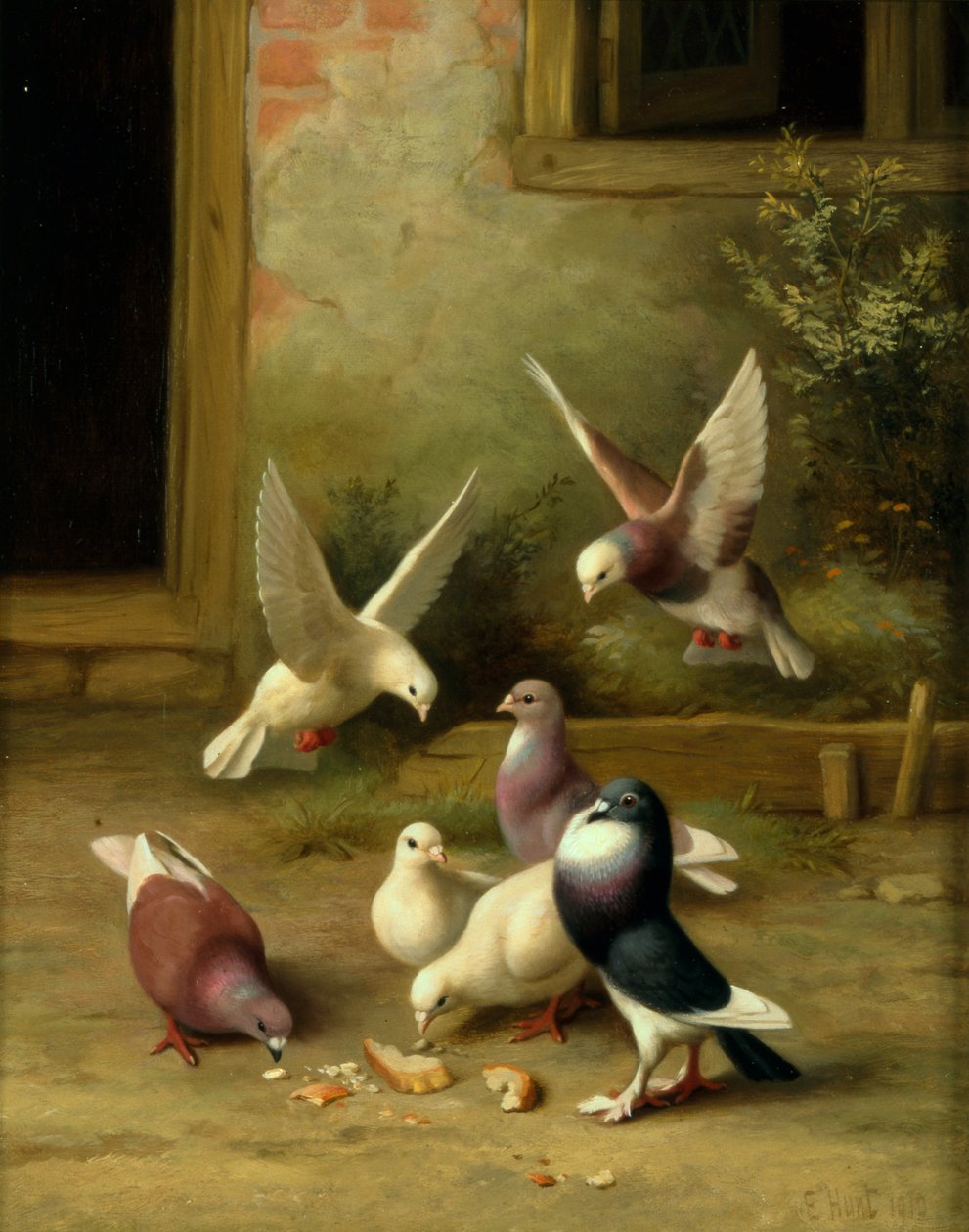 Tauben beim Füttern von Edgar Hunt