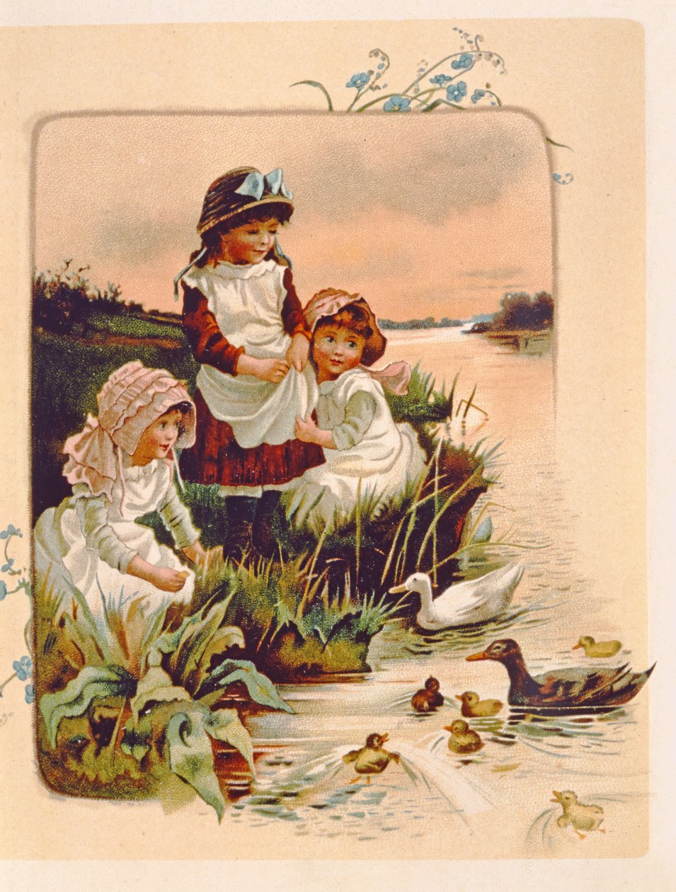 Enten füttern, Illustration aus 