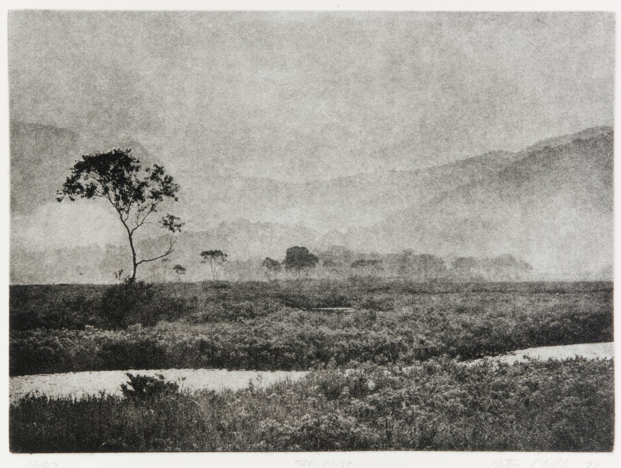 Oze Nebel, 1993 von Edouard Cremieux