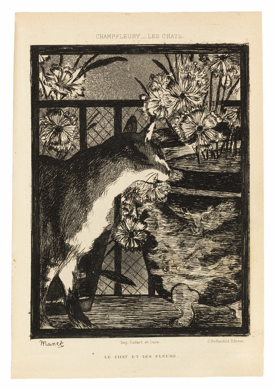 Die Katzen von Édouard Manet